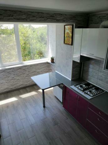 2-Х Комнатная Квартира В Центре Zaporizhia Zewnętrze zdjęcie